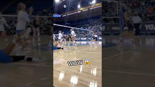 They went all out for this point  (via: @uclawomensvb) #shorts