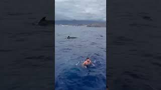 Florian Marku goes SWIMMING with WHALES!
