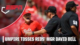 Reds manager EJECTED after fiery exchange with umpire | MLB on ESPN