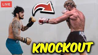 *K.O* Logan Paul vs. Dillon *LEAKED SPARRING SESSION* FULL FIGHT HIGHLIGHTS