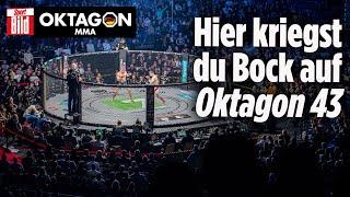 Oktagon MMA: Die Highlights von Oktagon 42 in Bratislava