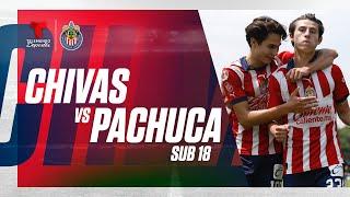 Chivas Sub 18 vs. Pachuca Sub 18 | En vivo | Telemundo Deportes