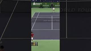 The Greatest Point Of Novak Djokovic's Career?