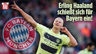Champions League: Hat Bayern wirklich eine Chance gegen ManCity? | InTORnational
