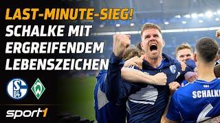 Schalke 04 - Werder Bremen | Bundesliga Tore und Highlights 30. Spieltag | SPORT1