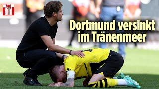 BVB-Titel-Drama: Trainer, Spieler und Fans in Trauer! | Reif ist Live
