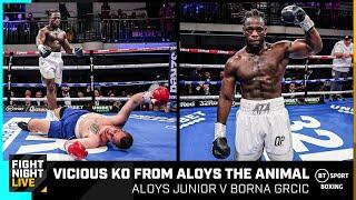 Brilliant fight ends in BRUTAL knockout! Aloys Junior v Borna Grcic | Full Fight Replay | Boxing