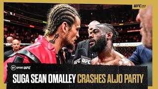 Suga Sean O'Malley storms UFC Octagon to crash the party | #UFC288 Aljamain Sterling v Henry Cejudo