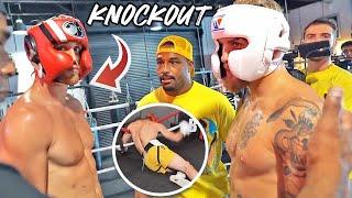 LOGAN PAUL KNOCKED OUT BY JAKE PAUL IN ВRUТАL SPARRING SESSION LEAKED FOOTAGE FOR DILLON DANIS