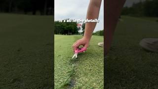 The only way to make the golf course perfect