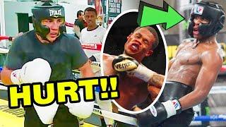 DEVIN HANEY HURT IN SPARRING "STUMBLING" IN FRONT OF FLOYD MAYWEATHER SR BY TEOFIMO LOPEZ SAYS DAD