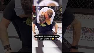 Michael Bisping choked out Steve-O...Wait til he wakes up  #shorts