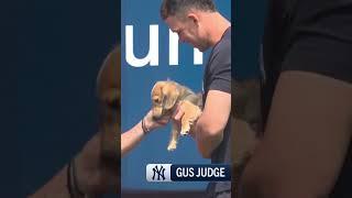 Is Gus Judge The Cutest Pup In Baseball?