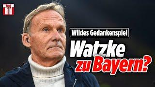 Er trägt die Schuld am BVB-Elfmeter-Skandal! | Bayern-Drama und Schalkes Hoffnung | Lage der Liga